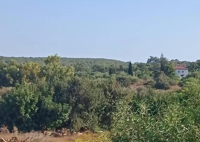 Fig Tree Bay Sea View , Jacuzzi Available April To October * Protaras