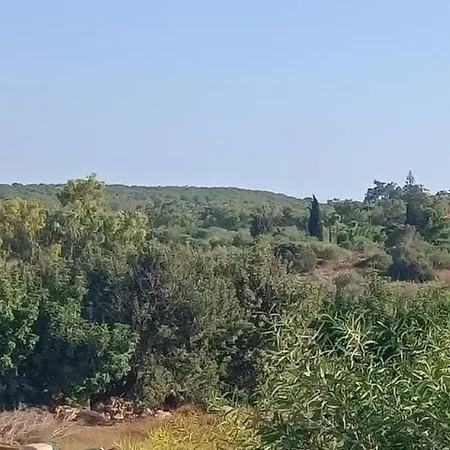 Protaras Fig Tree Bay Sea View Villa , Jacuzzi Available April To October * 프로타라스